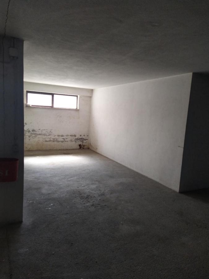 Appartement What A Fish